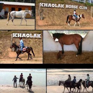 Meet your Posher, Angelalie